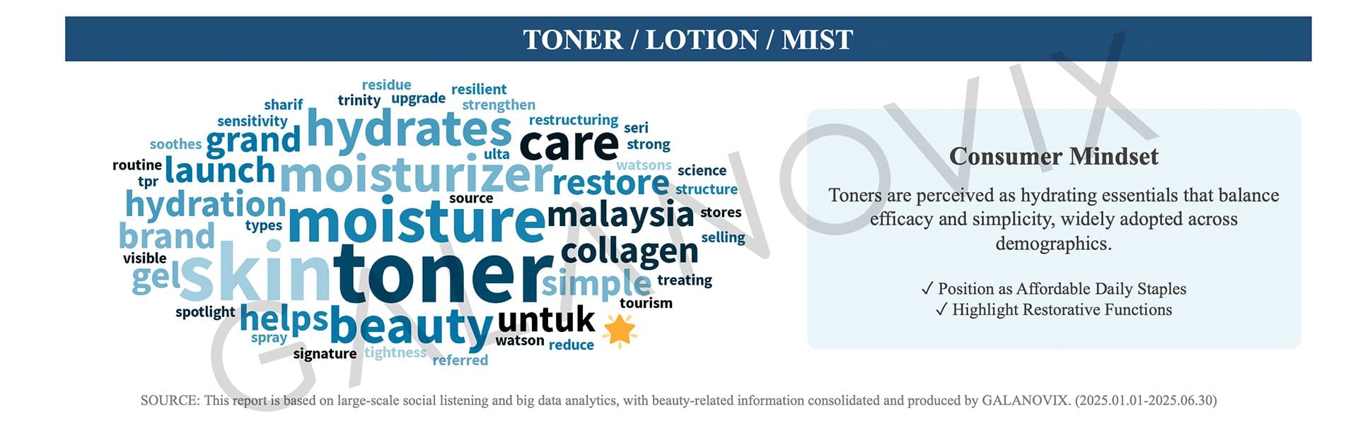 2025 Product Trends by Type in Malaysia-TONER